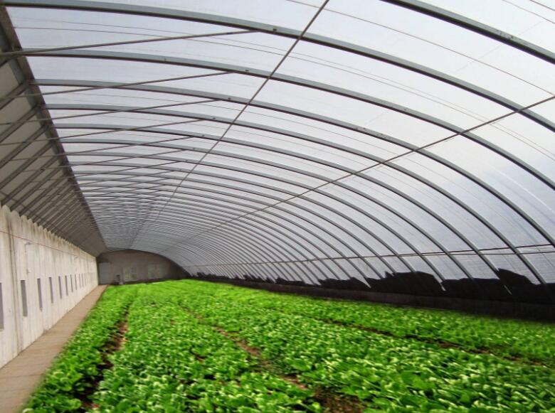 山东91抖音视频塑胶有限公司