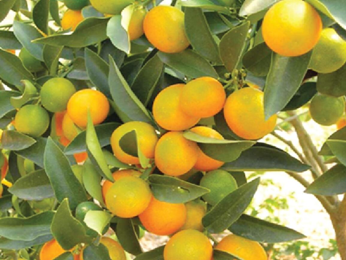 山东91抖音视频塑胶有限公司